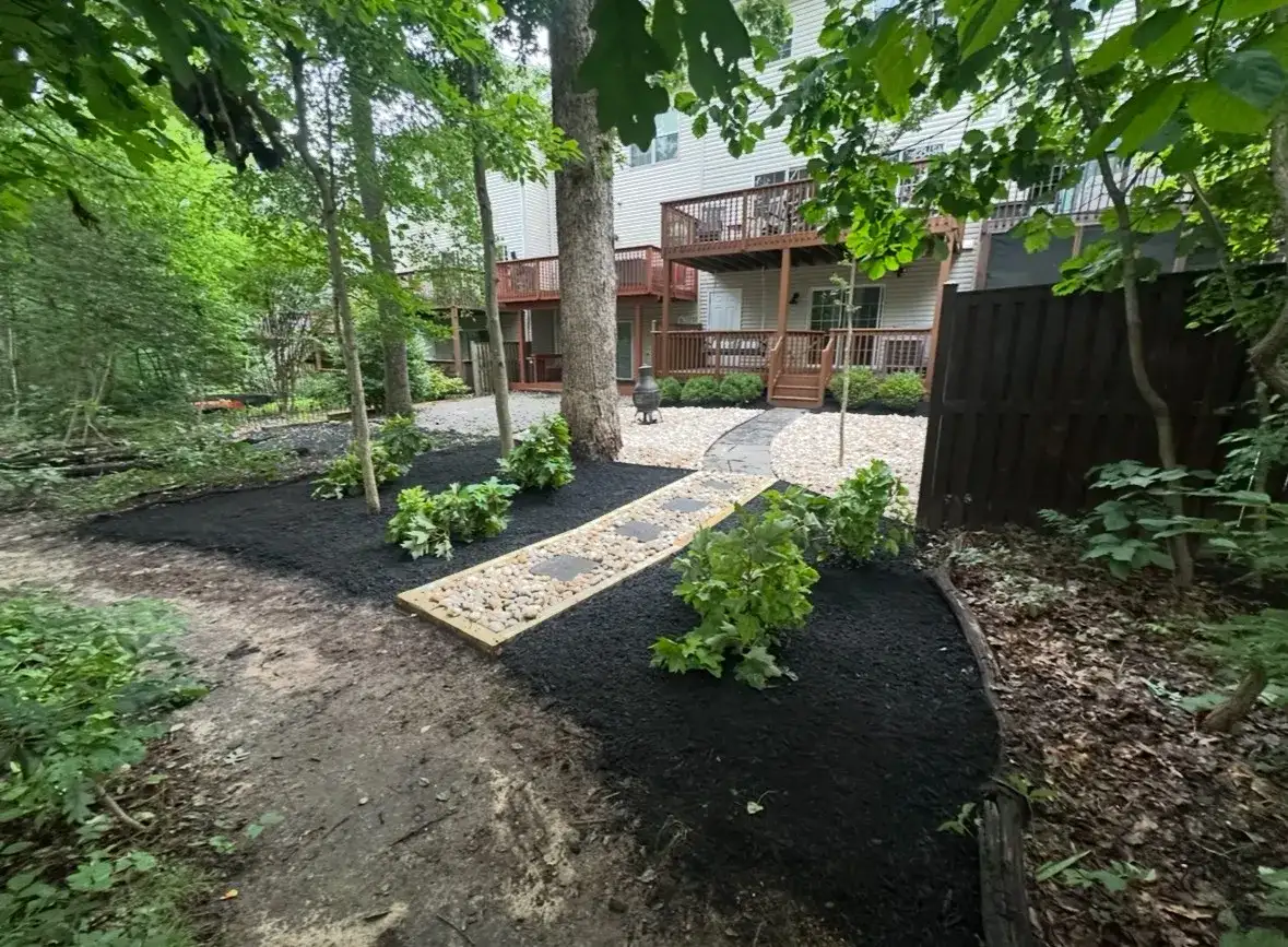 Wooded backyard after cleanup with mulch and stone path