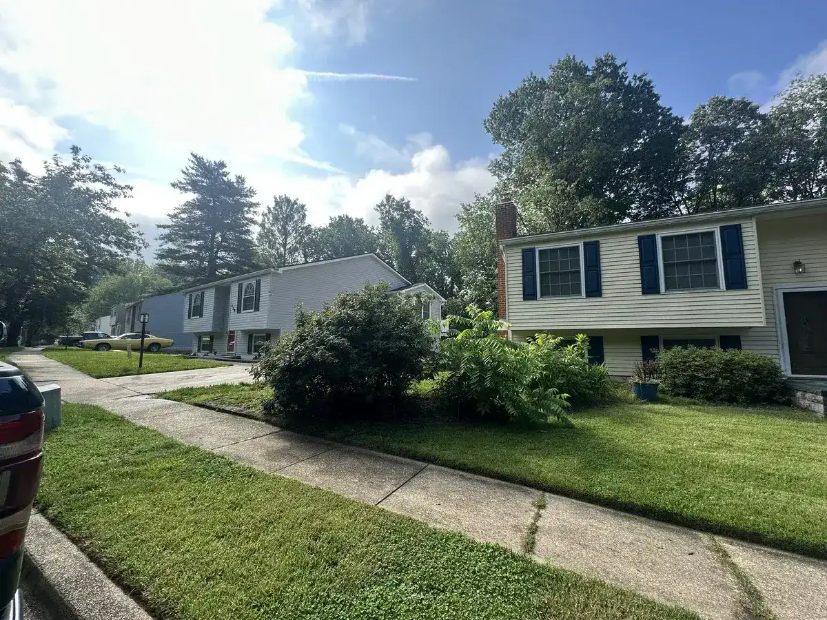 Overgrown shrubs and beds before spring cleanup