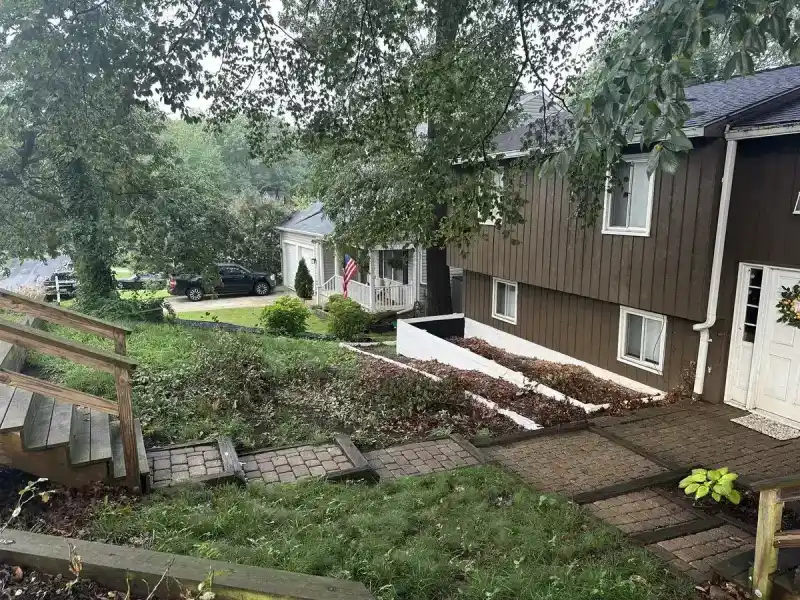 Overgrown hillside before cleanup