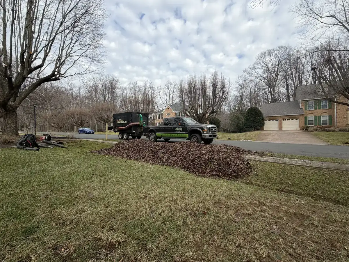 Fall cleanup and leaf removal in Annapolis MD