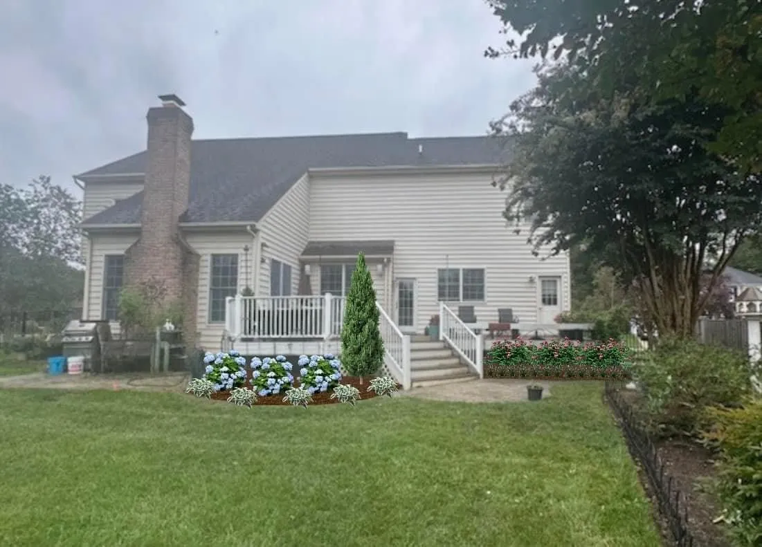 Colonial backyard after landscape rendering with hydrangea beds