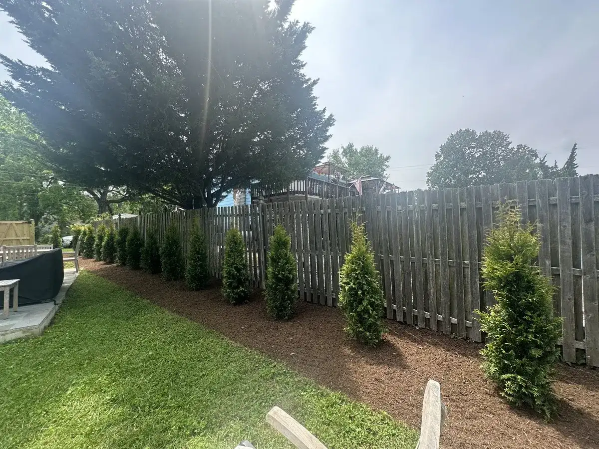 Purple salvia and ornamental grasses in a designed landscape
