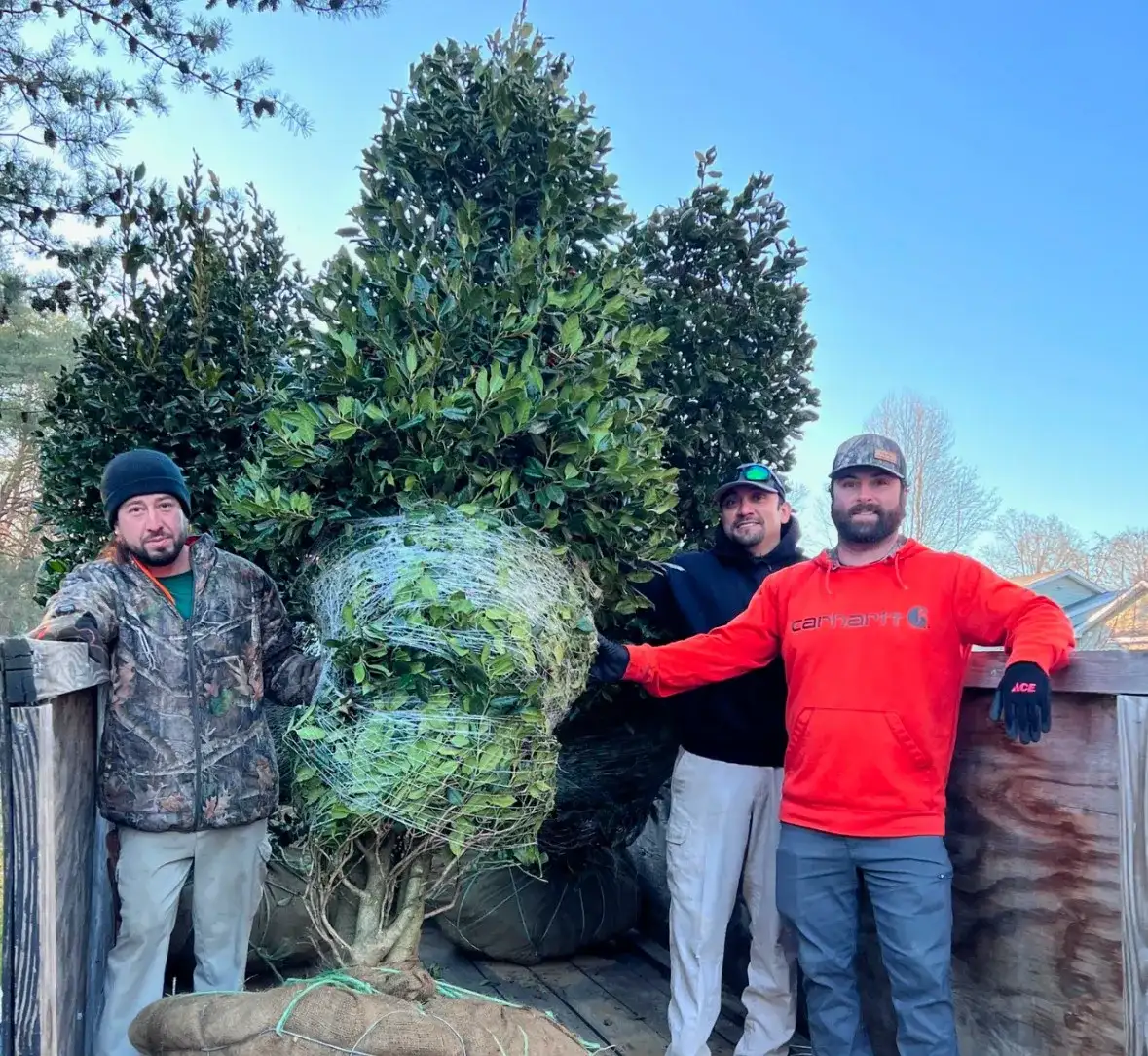 Schofield Outdoors crew members posing with a large holly tree installation